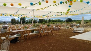 13103531_10154267699328694_8407165783119035002_n