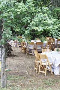 WhatsApp Image 2019-05-19 at 11.45.16(1).