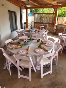 כסא ורוד (3).