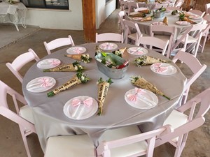 כסא ורוד (1).