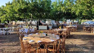 שולחן עגול חשוף 1.60